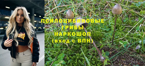 крисы Волосово