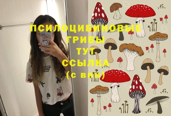 первитин Волоколамск