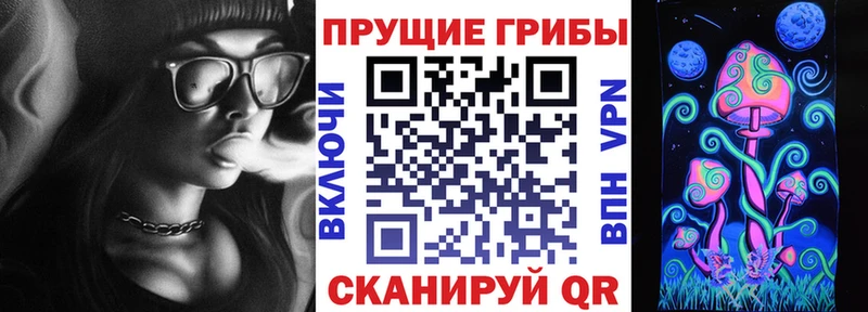 как найти закладки  Псков  Псилоцибиновые грибы прущие грибы 